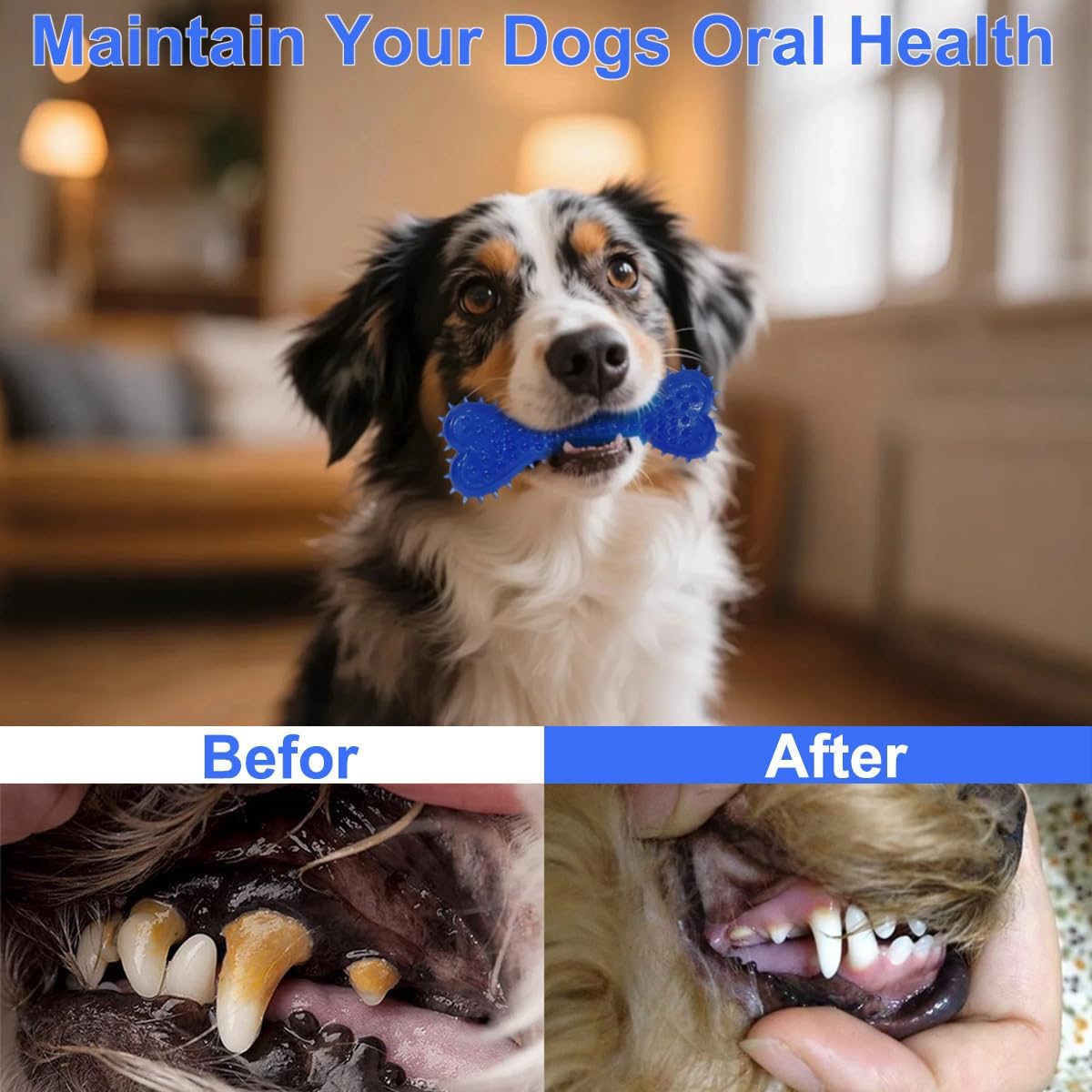 Dog Toys 15 Pack for Teeth Cleaning and Fun, Puppy Teething Chew Toys Interactive Rope Squeaky Treat Balls & Rubber Tous Bulk– Variety Dog Gifts Set Reduce Anxiety & Save Furniture