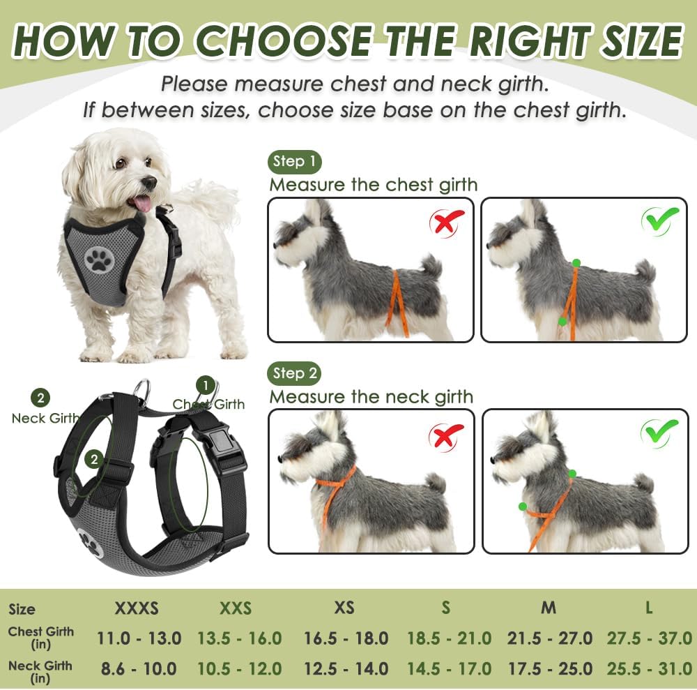 SlowTon Dog Seat Belt Harness for Car, Dog Car Harness Adjustable Mesh Breathable & Dog Seatbelt Safety Tether with Elastic Bungee for Small Medium Large Pets(Grey, Double Clip, XS)