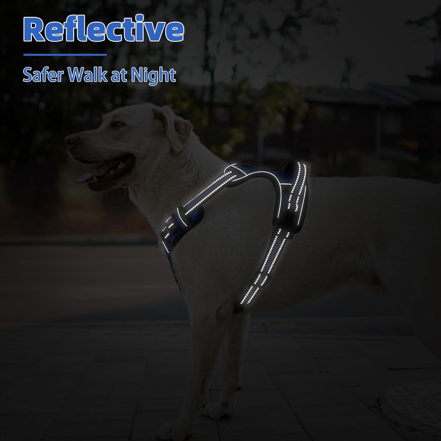 PUPTECK No Pull Dog Harness Medium Sized, Adjustable Reflective Dog Harness with Handle Easy Control, Comfortable Soft Padded Pet Vest Harness for Medium Dogs, Blue M