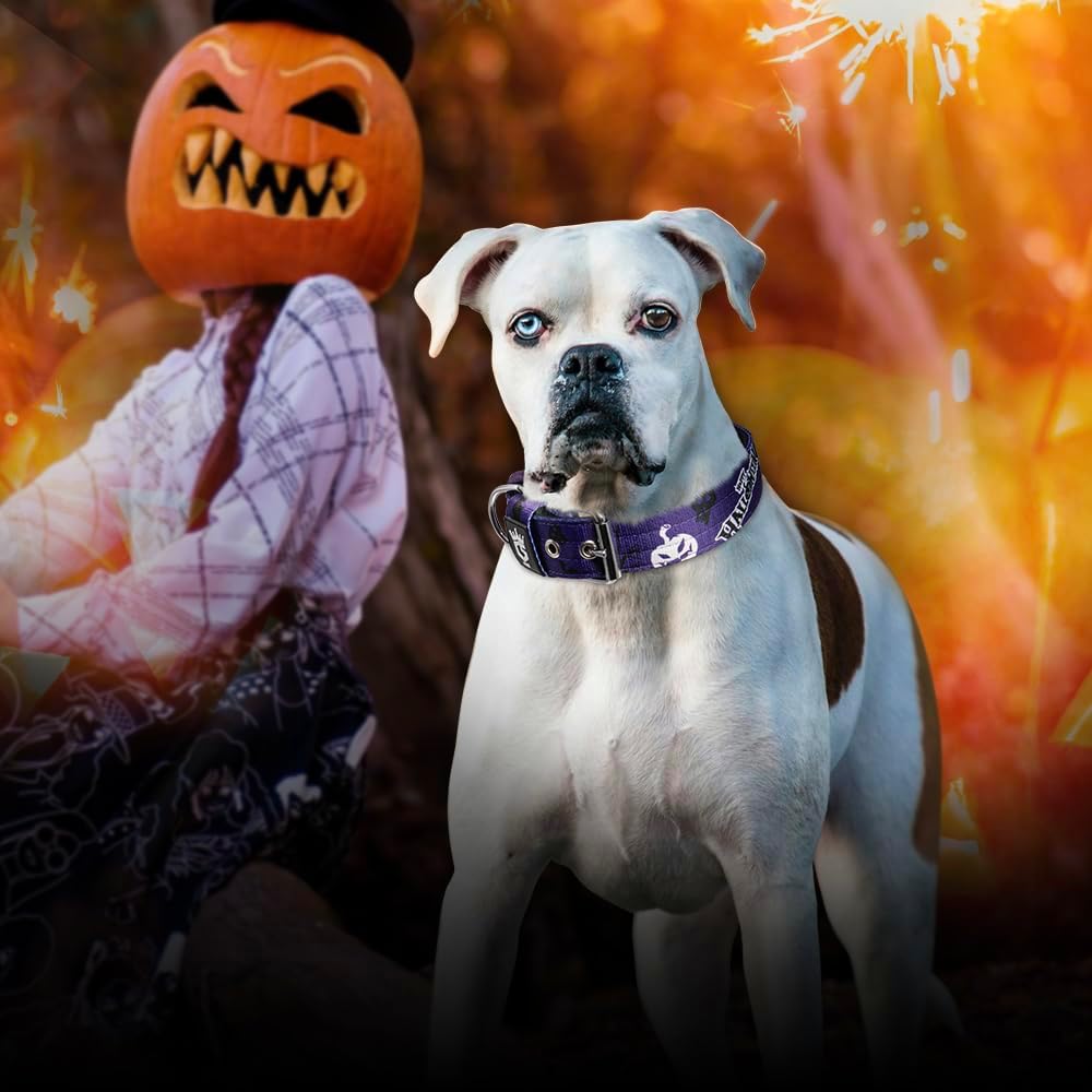 TSPRO Tactical Dog Collar 1.5 Inch Wide Thick Dog Collars with Heavy Duty Metal Buckle, Durable, Strong, Adjustable for Medium to Large Dogs (Halloween Purple M)