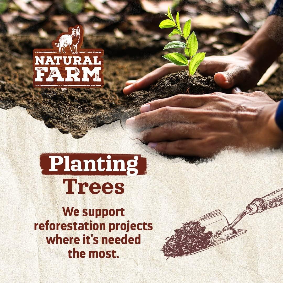 Natural Farm Pet Pizzle Bully Sticks (10 Inch, 12 Pack), Pixie Chew, Extra-Thin Pet Treats - Grain-Free, High Protein, Best Rawhide Alternative for Small, Puppies or Senior Dogs