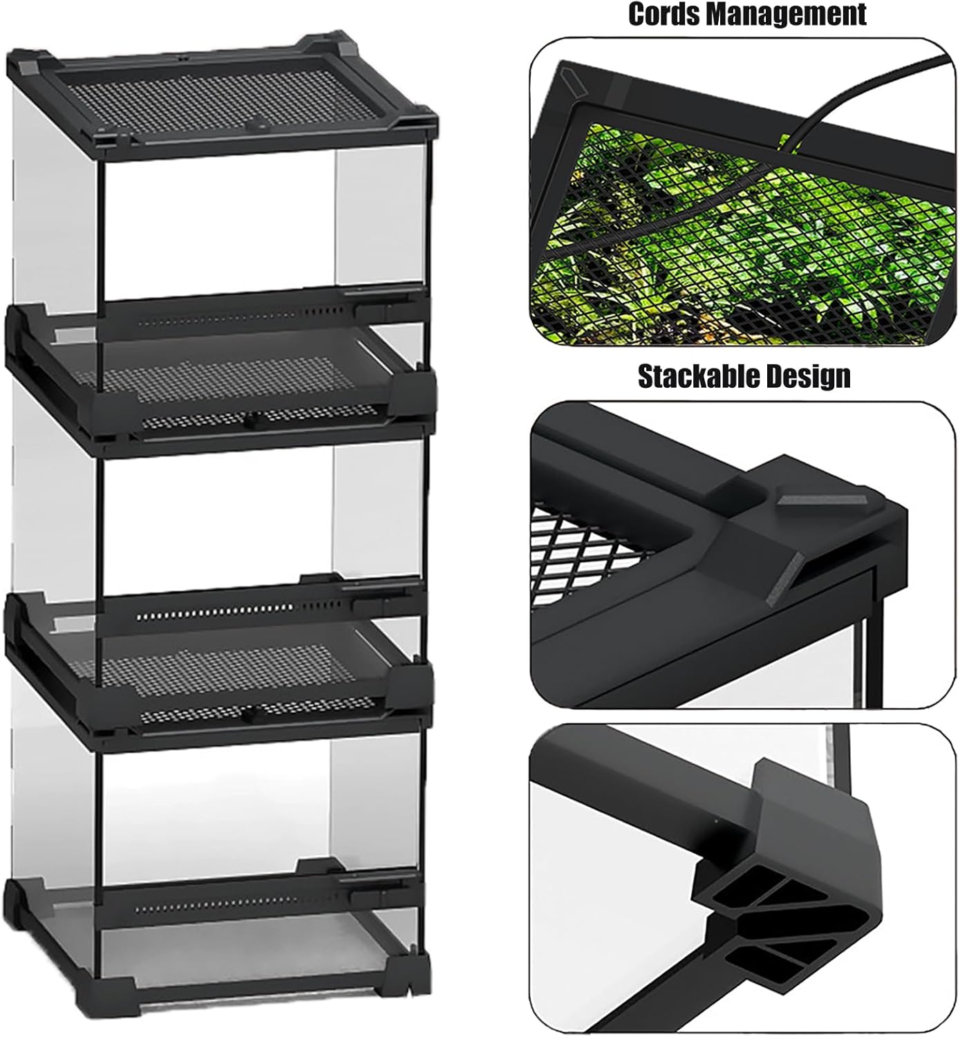 Woyrise Reptile Glass Terrarium Tank 8"x8"x5.7", Front & Top Opening Door Full View Visually Appealing Mini Reptiles or Amphibians Habitat, Stackable Enclousure for Small Reptiles