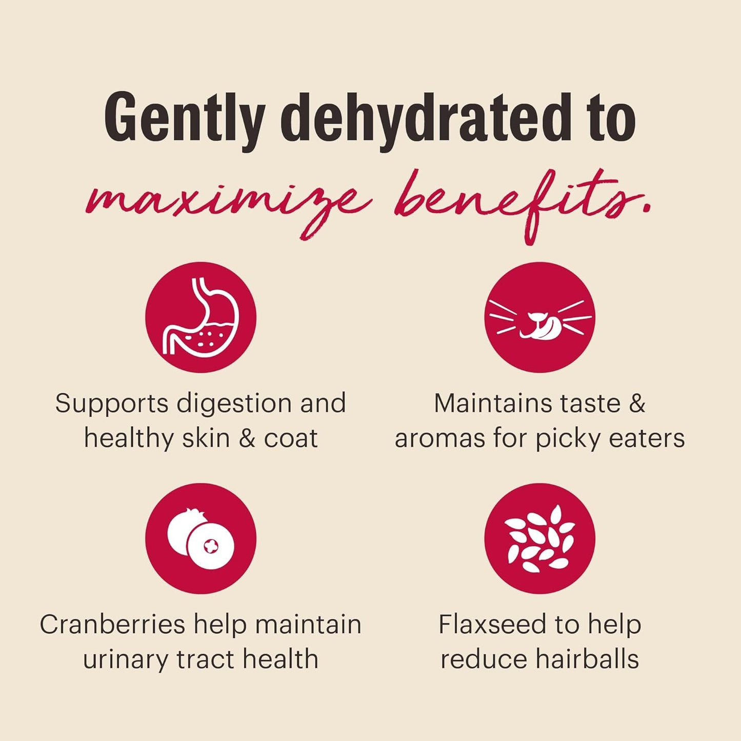 The Honest Kitchen Dehydrated Grain Free Turkey Cat Food, 2 lb Box