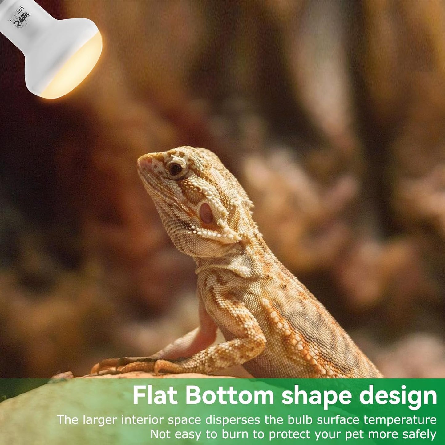 LUCKY HERP Intense Heat Lamp Bulbs for Reptiles 50W 2 Pack, UVA Daylight Reptile Heat Lamp, Reptile Basking Heat Light Bulb for Amphibian, Tortoise, Bearded Dragon, Lizard, Turtle, Snake Heating Use