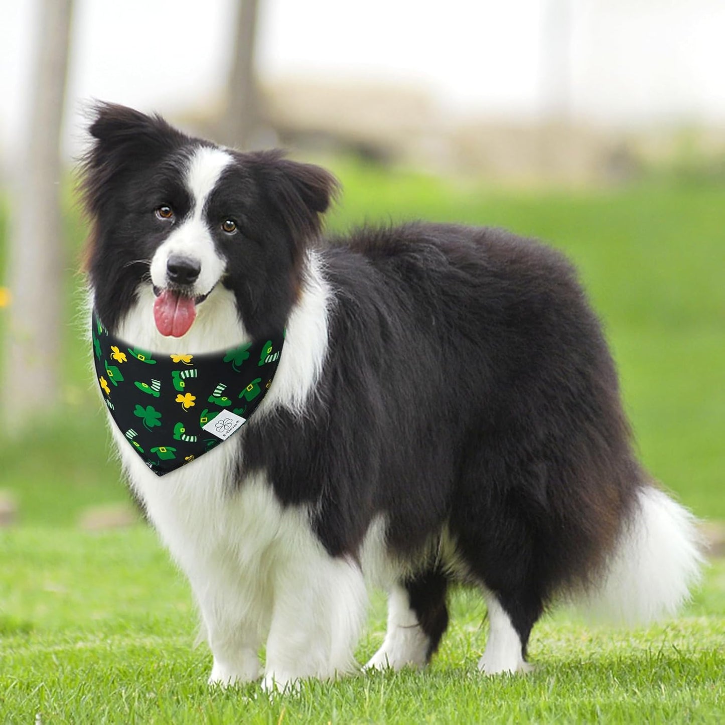 E-Clover Dog Bandana Boy & Matching Scrunchie-Shamrock Dog Bandanas Irish Pet Scarf Bib for Medium Large Dogs Girl Owner Gift Dark Green