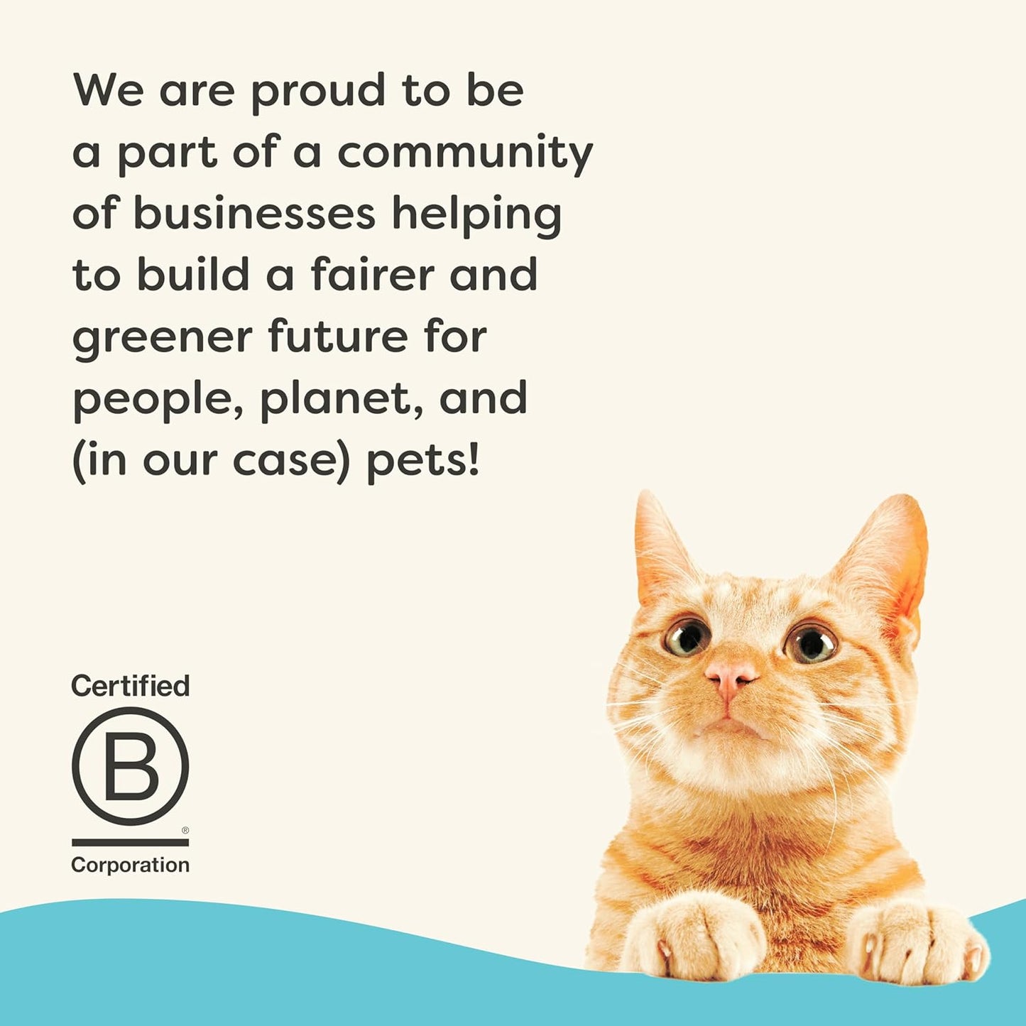 Applaws Vitality Wet Cat Food Paté, Natural Canned Cat Food, Wet Food for Cats with Added Vitamins and Minerals, Grain Free, Carrageenan Free, Tuna Fillet Recipe (24 Count, 2.47 oz Cans)