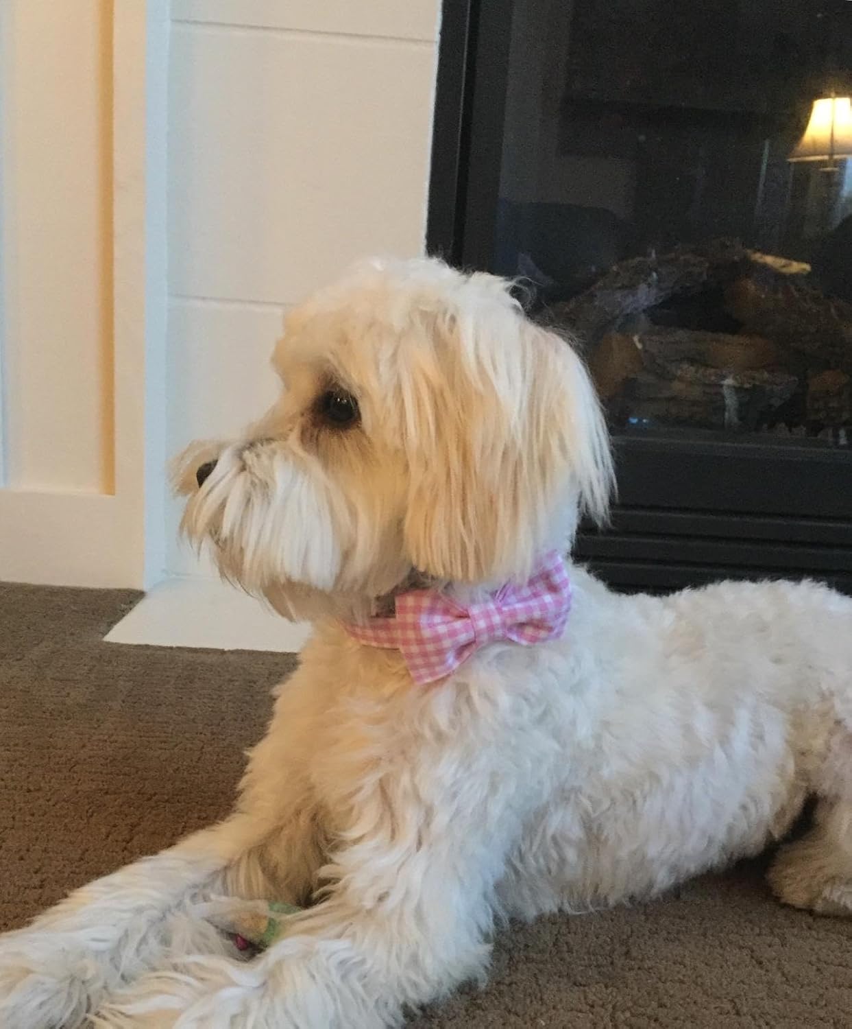 Lionet Paws Dog Collar with Bowtie, Comfortable Adjustable Cute Pink Gingham Bow Tie Collar for Female Dogs Gift, Large, Neck 16-24 inches