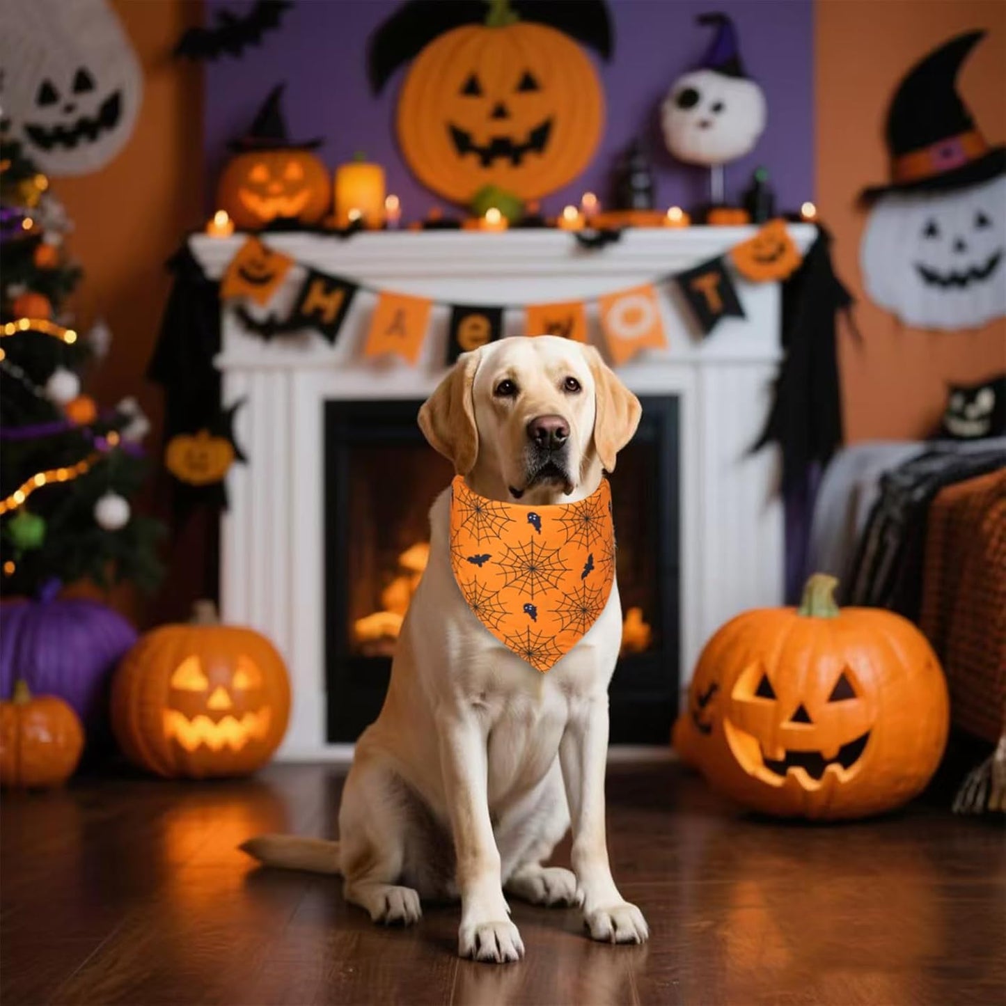 Halloween Dog Bandana for Large Dogs - Reversible Orange Jack-o-Lantern & Spiderweb Print Scarf - Soft & Quick-Dry for Costume Parties