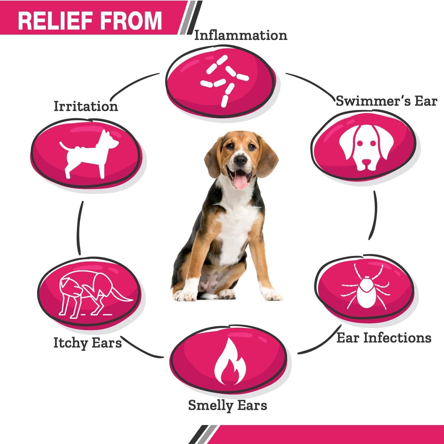 All Natural Ear Flush for Dogs & Cats, Ketoconazole & Chlorhexidine Ear and Vet-Strength Ear wash with a Light Scent (USA) (Ketoconazole & Chlorhexidine Ear Flush, 12 oz)