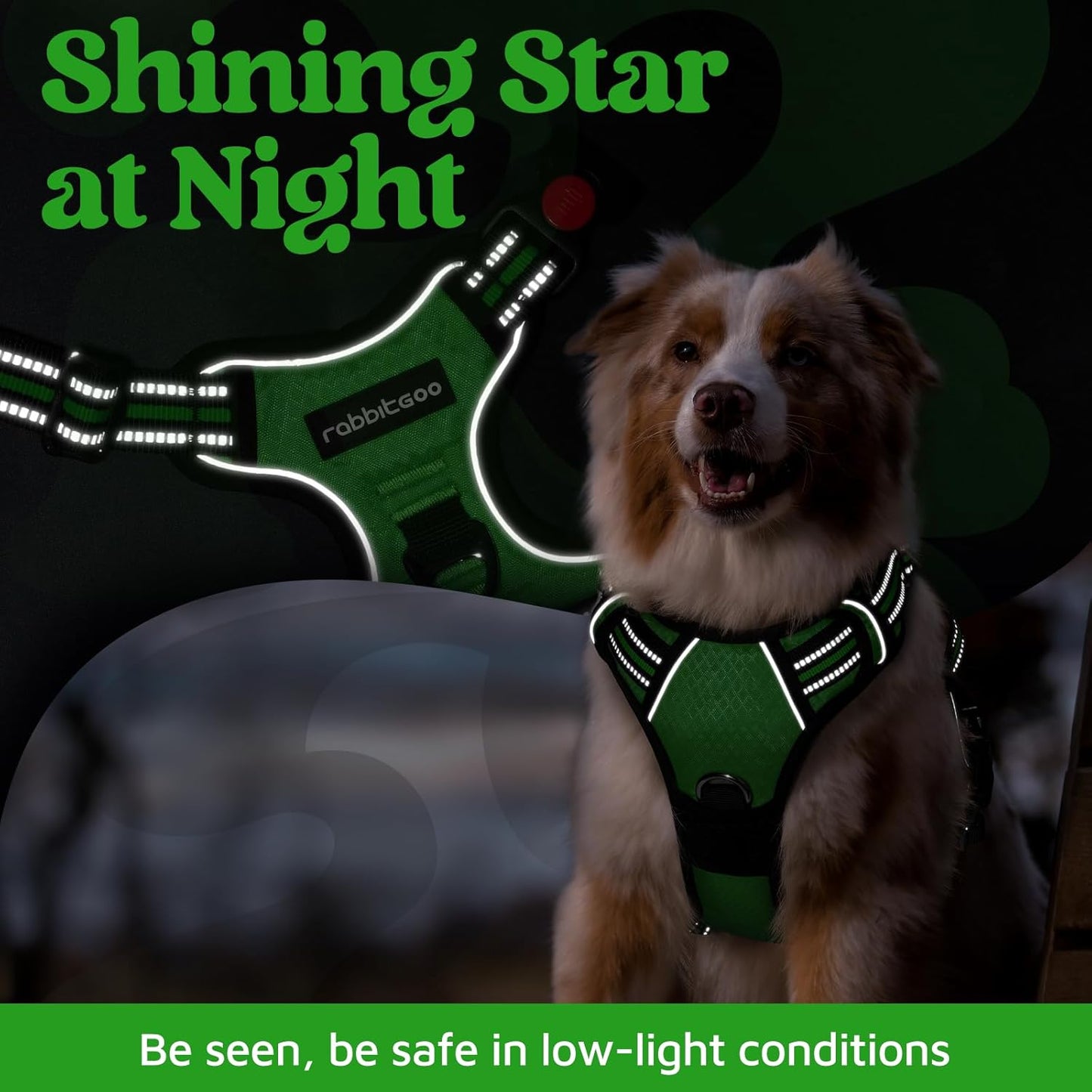 rabbitgoo Dog Harness for Large Dogs, No Pull Pet Vest with 3 Buckles, Adjustable Soft Padded Pet Harness with Easy Control Handle and Reflective Strips, Green, L
