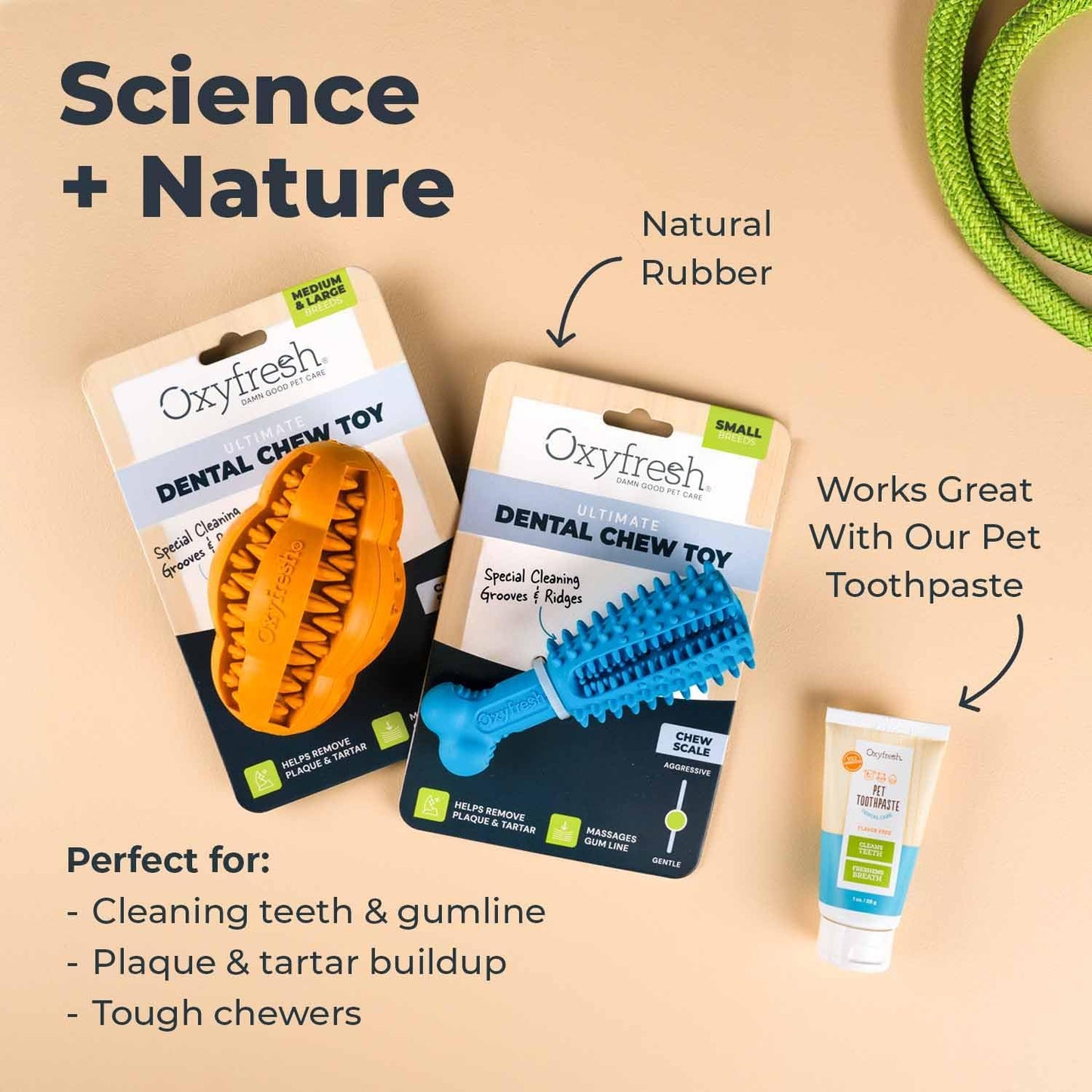 Oxyfresh Dog Dental Chew Toy - Best Durable Rubber Dog Toy & Puppy Teething Toy - Helps Remove Plaque, Cleans Teeth & Freshens Breath Without Brushing (Small)