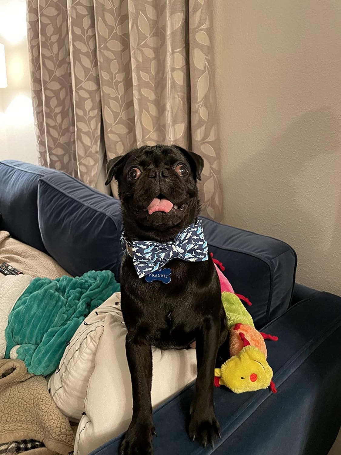 Elegant Little Tail Shark Print Adjustable Bowtie Collar for Large Dogs