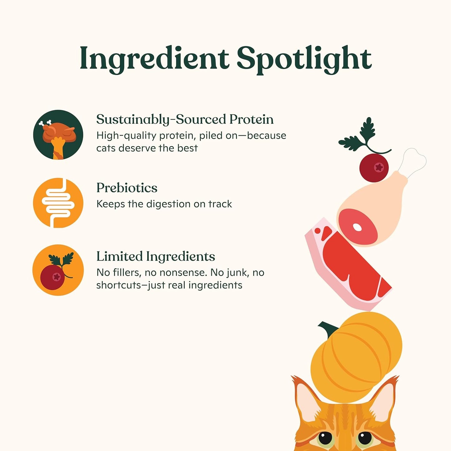 Made by Nacho Bone Broth Cat Food Topper for Hydration and Picky Eaters - Add Protein and Flavor to Your Dry Cat Food – 11 oz. (Pack of 4), Variety Pack