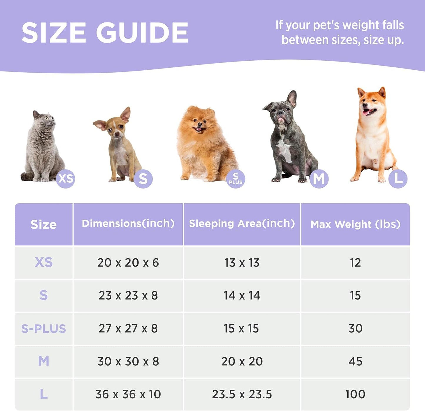 LE SURE Donut Small Dog Bed - Round Cat Beds for Indoor Cats Calming Pet Beds, Cute Modern Beds with Jacquard Shaggy Plush & Anti Slip Bottom, 23 Inch, Purple