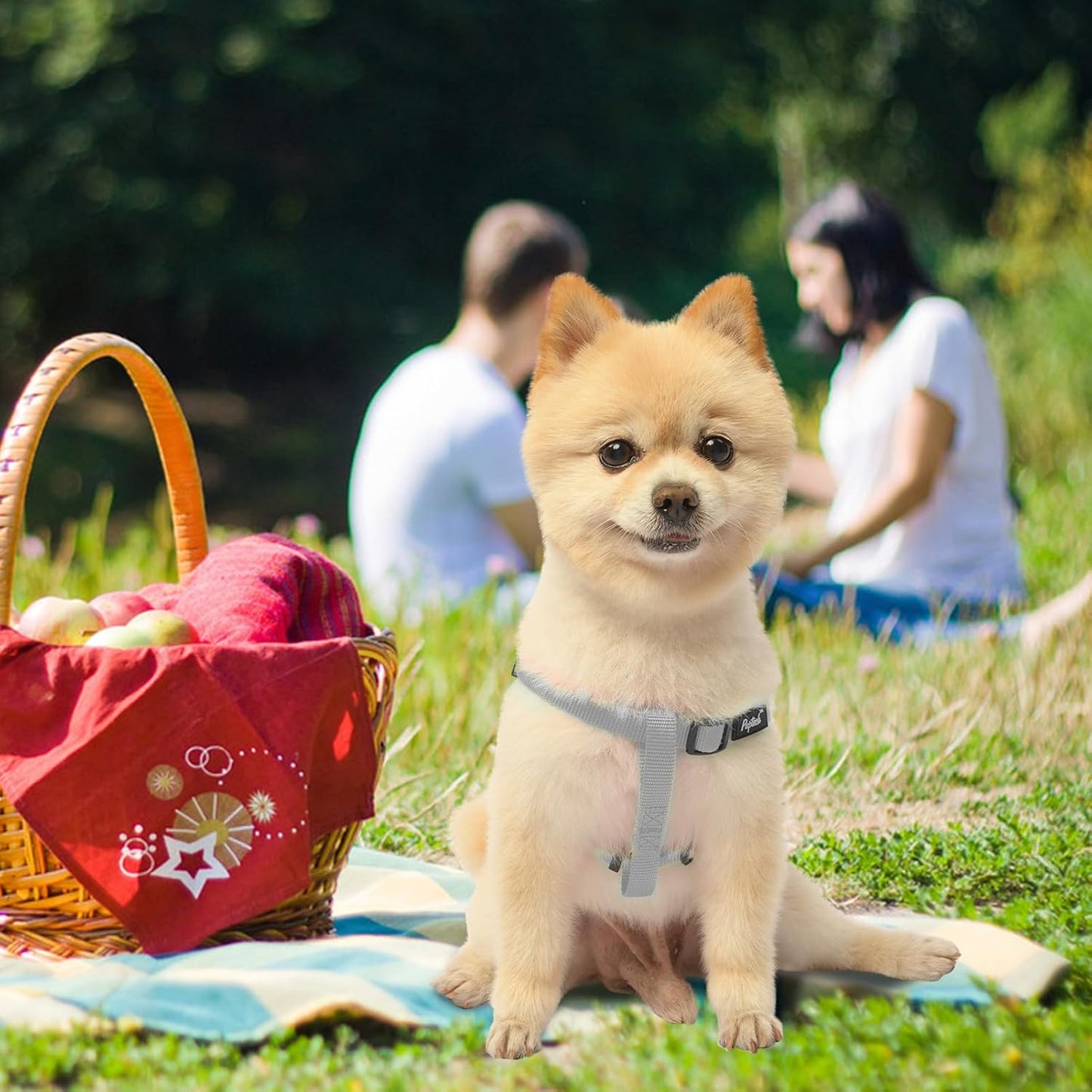 PUPTECK No Pull Dog Harness Soft Adjustable Basic Nylon Step in Puppy Vest Outdoor Walking with ID Tag, Grey, S