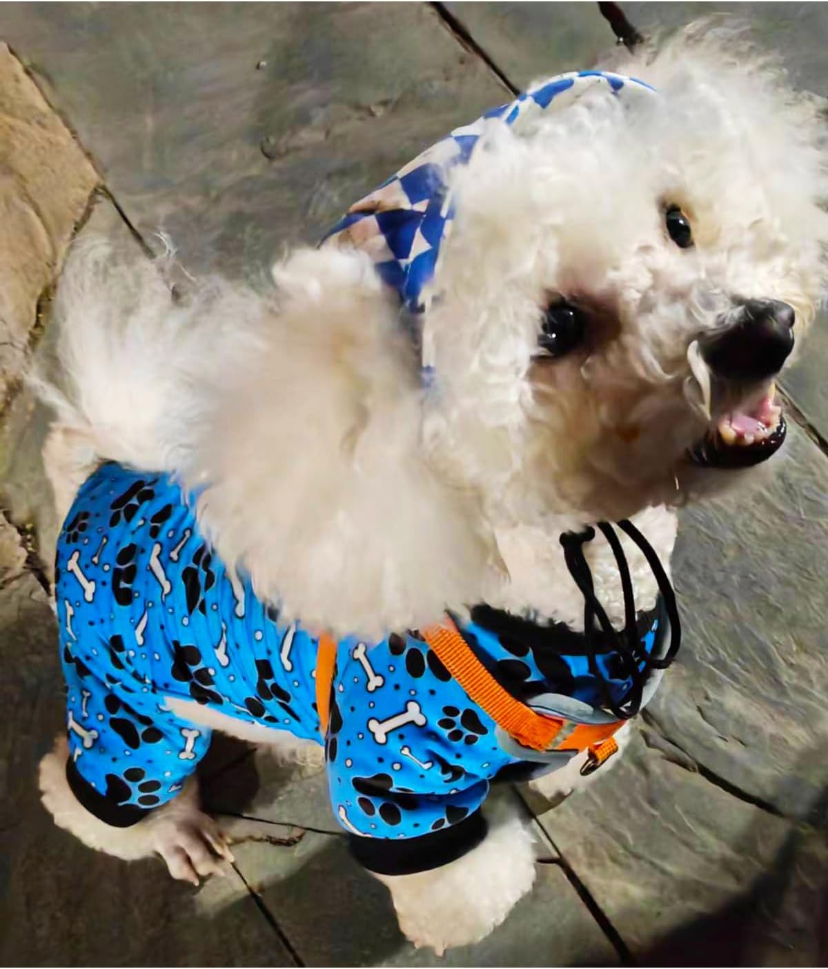 PET SHOW 4 Pack Small Dog Pajamas Paw Bone Patterns Cute Clothes for Medium Dogs Soft Fleece Stretchy PJs 4 Legged Jumpsuit Puppy Cats Onesies Outfits with Sleeve Dachshund Doggies Girl Boy (X-Small)