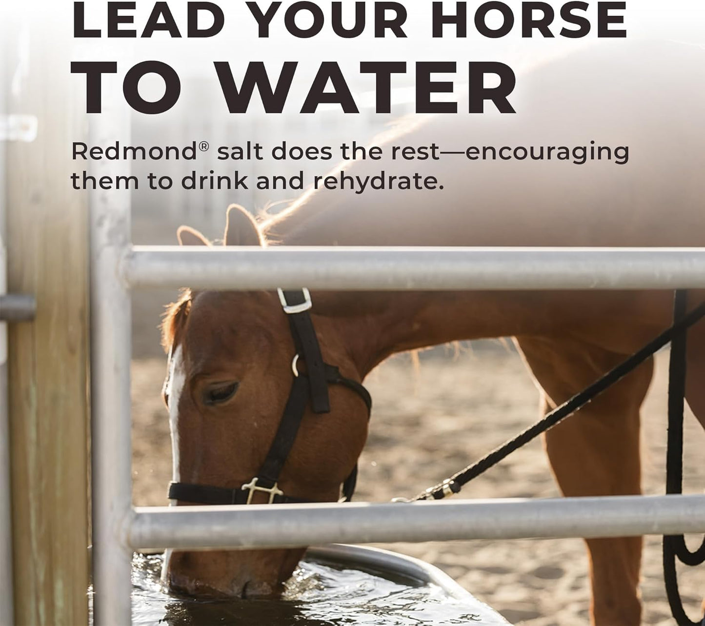 Daily Red Complete Wellness, Fortified Mineral Mix Supplement for Horses, 25lb Refill Bag