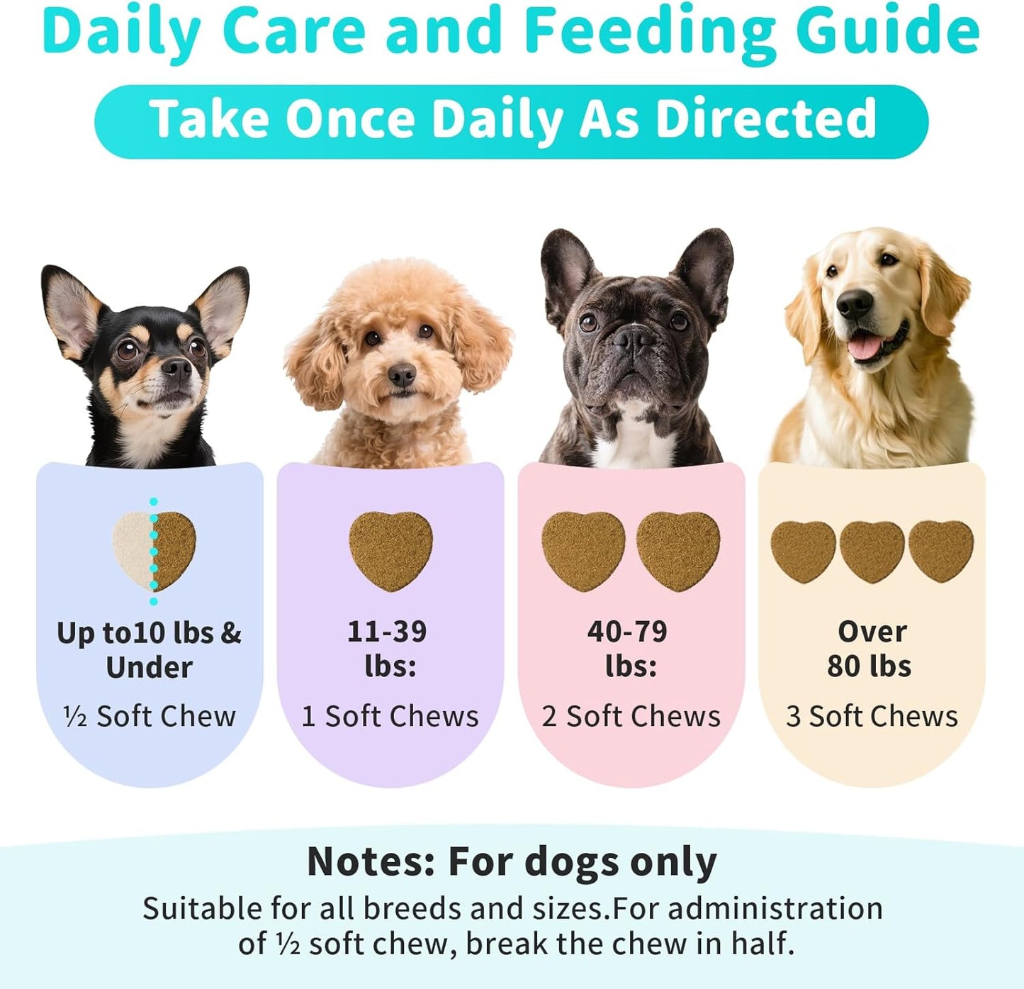 Probiotics for Dogs, Digestive Enzymes for Gut Health Support, Dog Fiber Supplement with Pumpkin for Diarrhea & Bowel Support, Upset Stomach & Gas Relief, Constipation - 60 Count Chicken Flavor