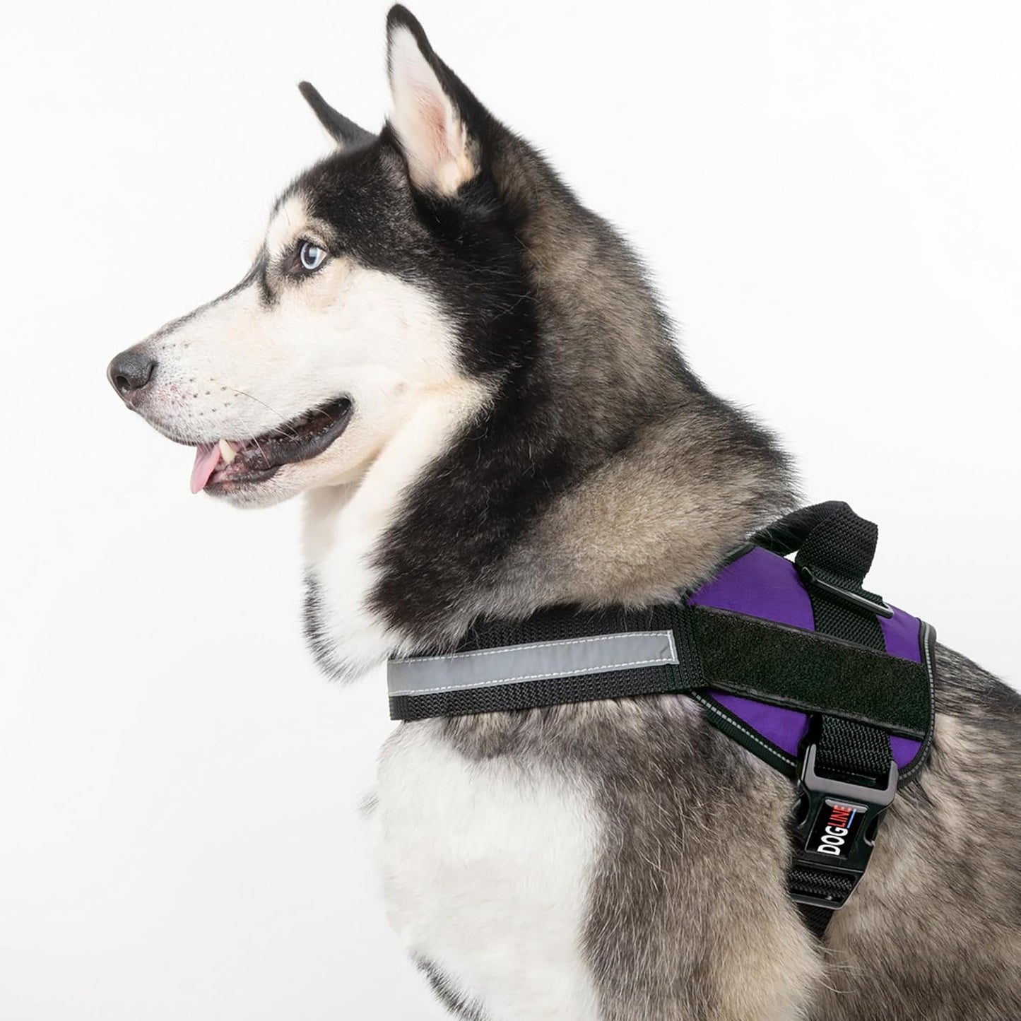 Dogline Dog Harness, Reflective No-Pull Adjustable Vest with Handle for Walking, Training, Breathable, No - Choke Harness for Small, Medium or Large Dogs Room for Patches Girth 27 to 34 in Purple