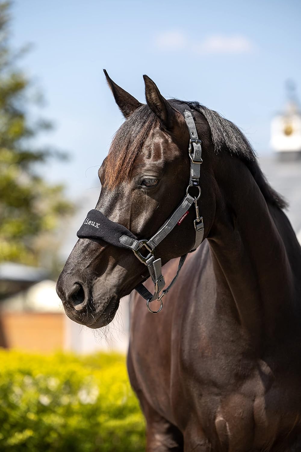 LeMieux Vogue Fleece Headcollar - Halter & Leadrope - Extra Padding, Adjustable at Curb and Poll Strap
