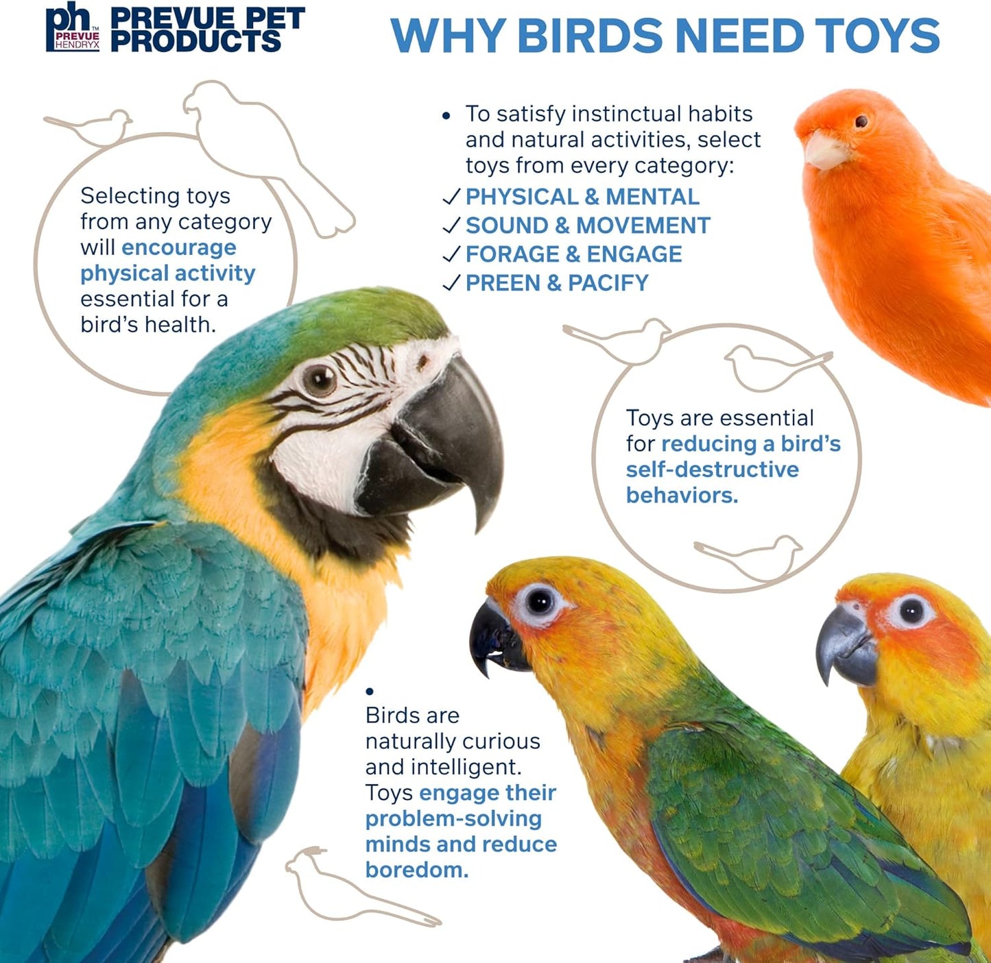 Prevue Pet Products Sound & Movement Mr. Mustache Bird Toy 62614