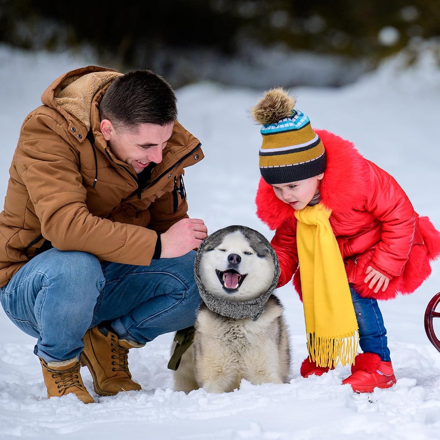 Dog Noise Cancelling Ear Muffs No Flap Ear Wraps for Dogs