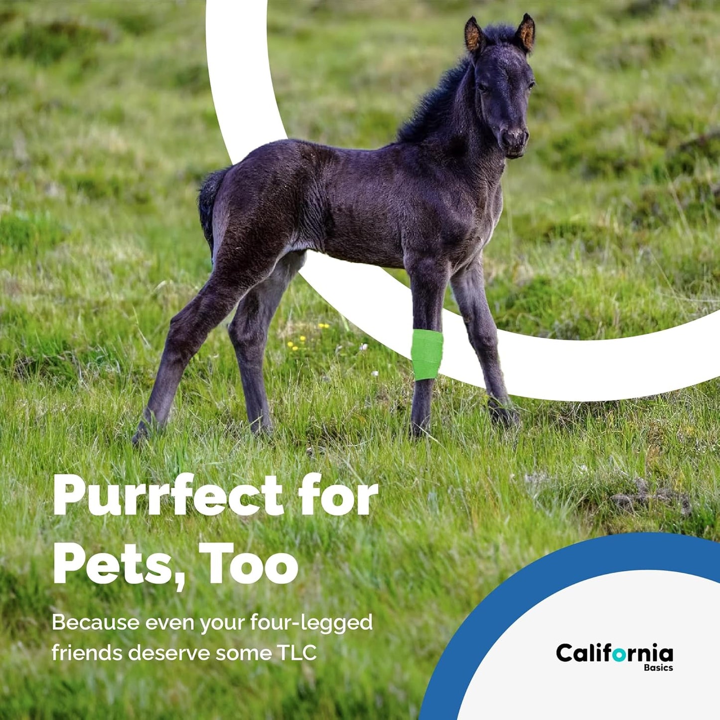 California Basics Self-Adhesive Medical Tape (2 inch) - Pack of 12 - Cohesive Bandage Wrap Rolls - Waterproof Athletic Tape - Self Adhesive Medical Adhesive Bandage Wrap - Vet Stretch Wrap