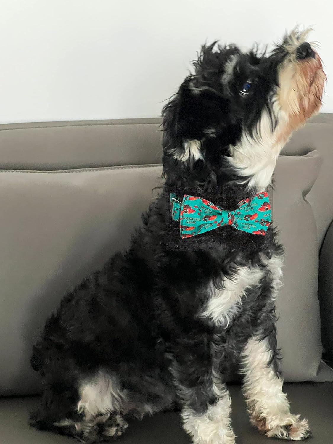 Lionet Paws Thanksgiving Day Dog Collar with Bowtie, Dog Bowtie Collar with Metal Buckle for Dogs, Adjustable Comfortable Turkey Dog Collar Girl Boy Gift, L, Neck 16-24 in