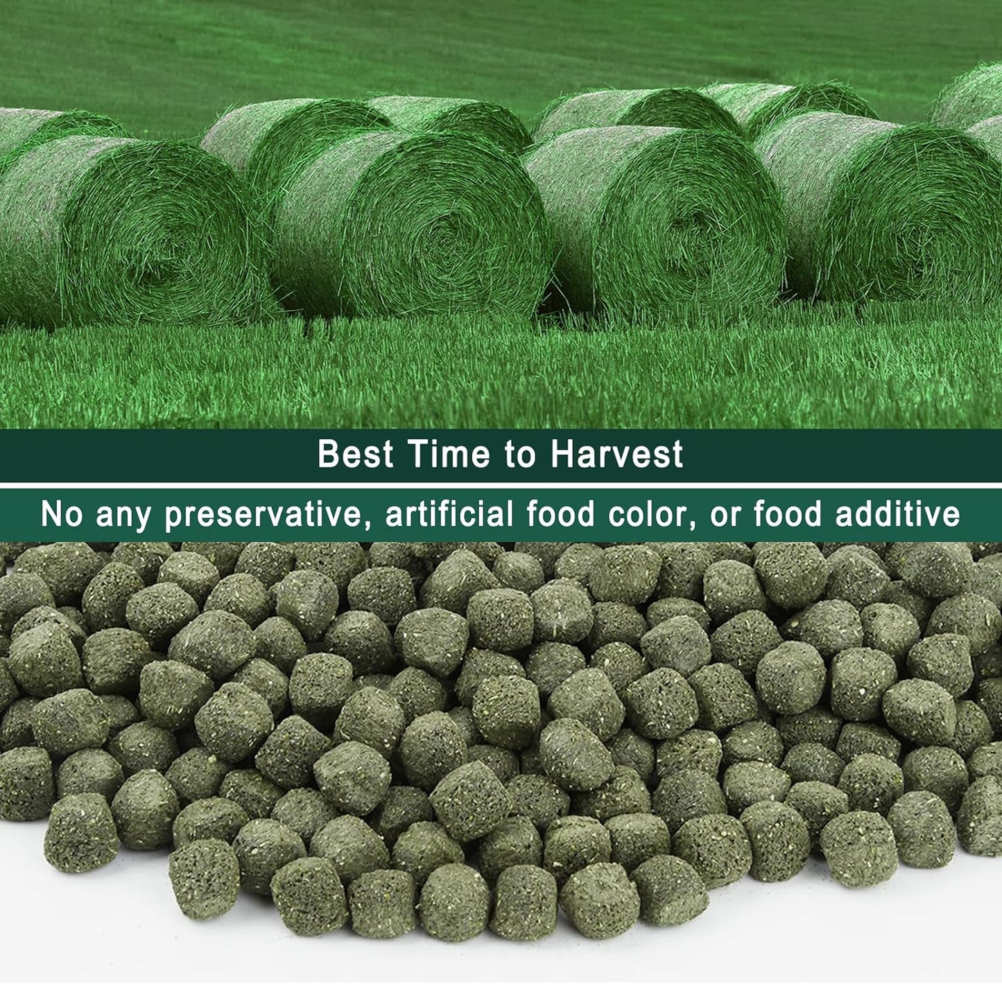 Timothy Hay Cubes 40 oz (4 * 10 oz) with Small Size - Timothy Grass Pellets for Tortoises Rabbits Guinea Pig Chinchilla