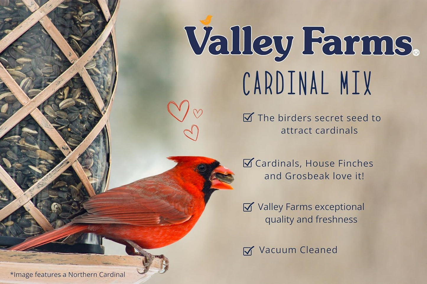 Valley Farms Cardinal Mix 3 LB 2-Pack (6 LB Total) Wild Bird Food for Outside Feeders, Cardinal Bird Seed with Black Oil Sunflower Seeds and Safflower Seeds, Attract a Variety of Wild Birds