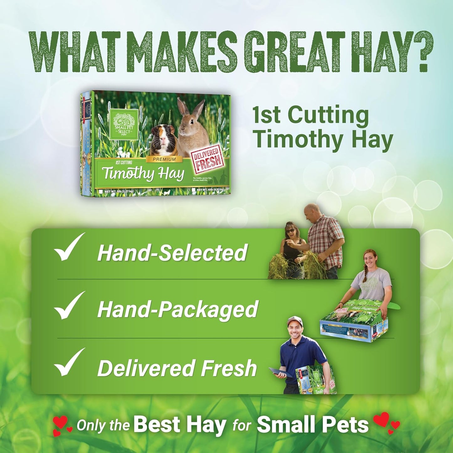 Small Pet Select 1st Cutting Timothy Hay, Animal Food for Guinea Pig, Rabbit, Hamster, Bunny, or Chinchilla, Natural Hay Grown in the USA, 2lb