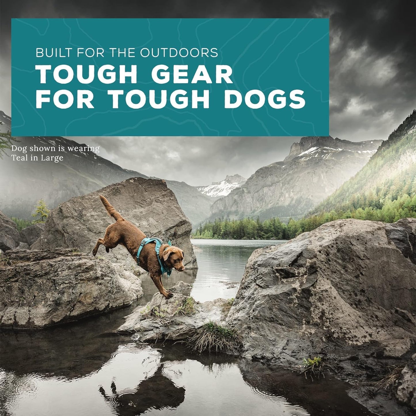 Wilderdog Lightweight Dog Harness with Reflective Straps - Small - Pacific Blue