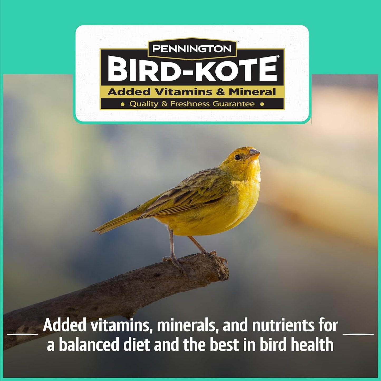 Pennington Pride Wild Finch Blend, Wild Bird Seed for Outside Feeders, Special Mix for a Variety of Musical & Colorful Birds, Great to Feed Year-Round, 10-lb. Bag