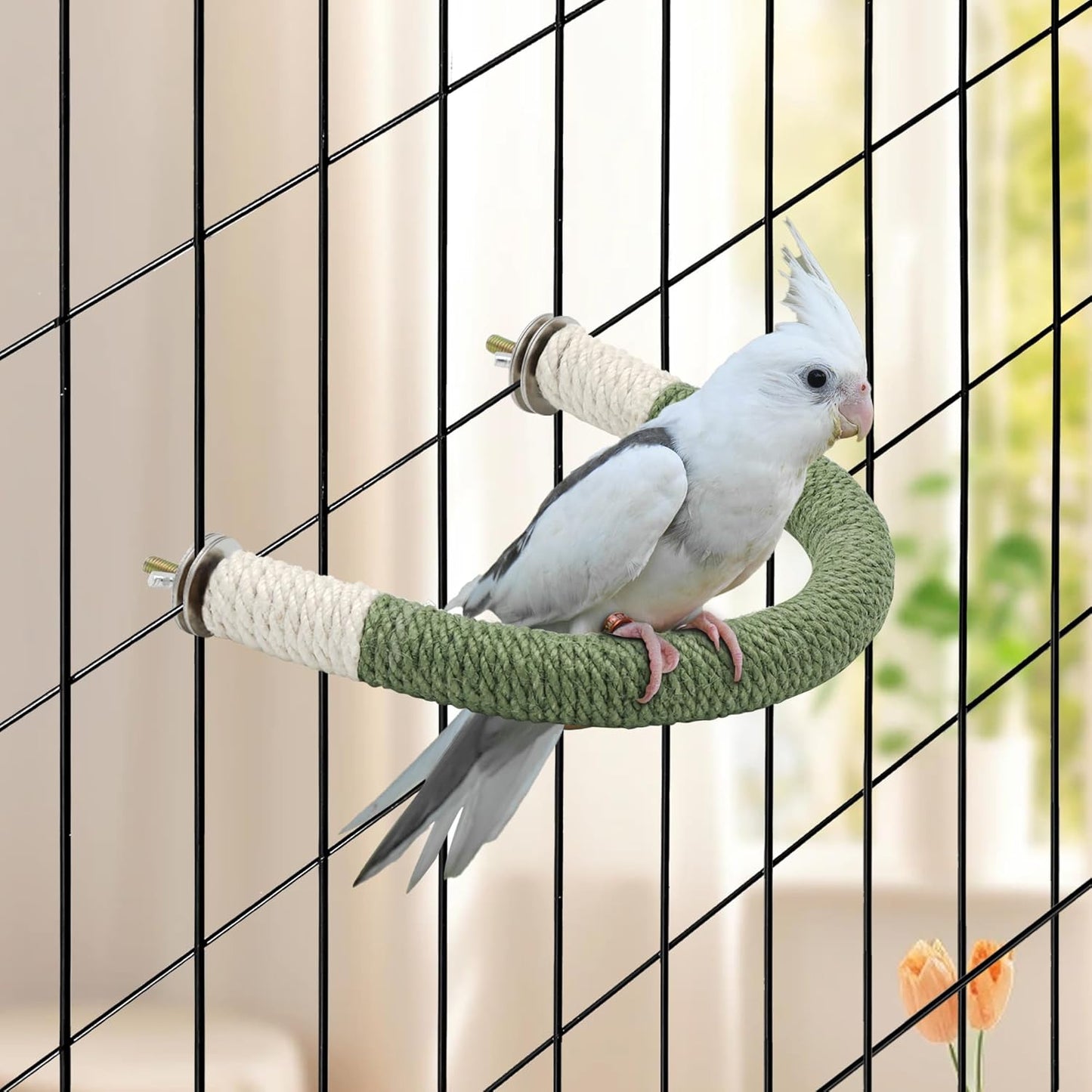 Bird Stand Perch U Shape Hemp Rope Green Wood Parrot Perches for Small Birds,Parakeets Macaw Cockatiels Conures Love Birds Finches,Bird Training Educational Stand Toys (Small,1 Pack)