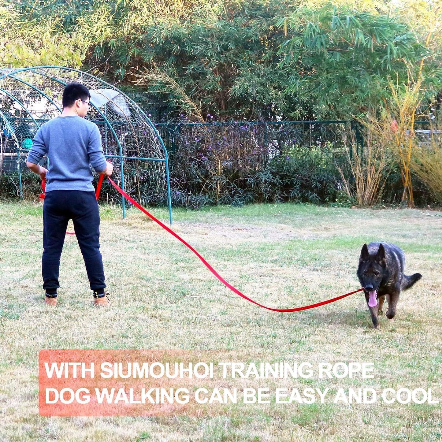 Dog/Puppy Obedience Recall Training Agility Lead - 15ft 20ft 30ft 40ft 50ft Training Leash - Great for Play, Camping, or Backyard (Mint Blue, 40 Feet)