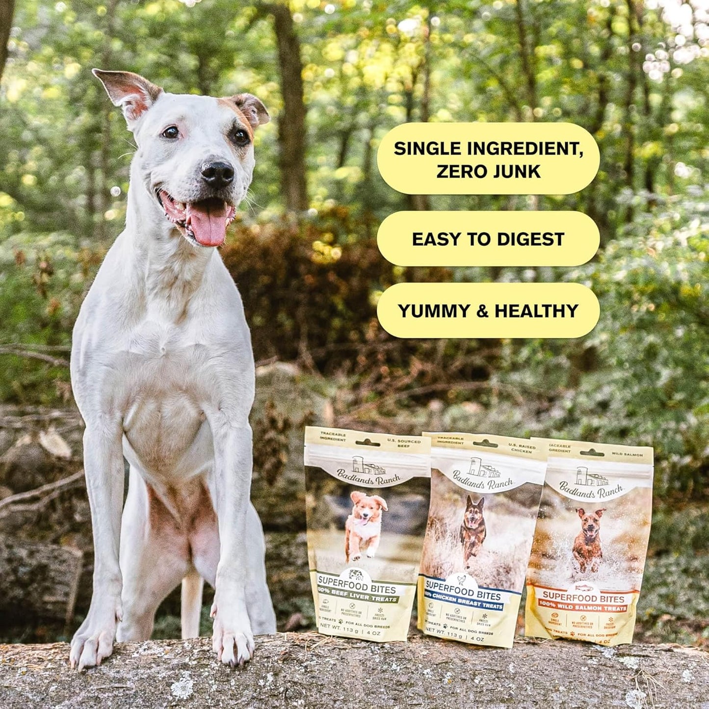 BADLANDS RANCH - Superfood Bite, Freeze-Dried Raw Dog Treats - Protein Rich, Train & Reward, Traceable Single Ingredient by Katherine Heigl (Beef Liver)