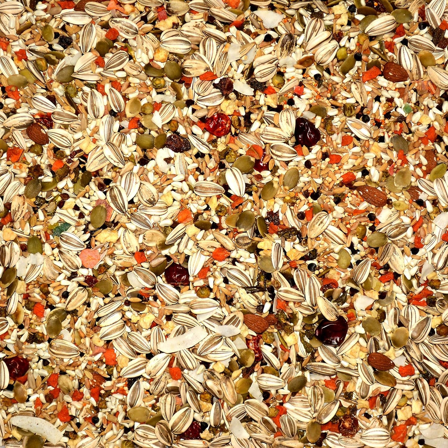 Volkman Avian Science Super Eclectus Bird Food 8lb