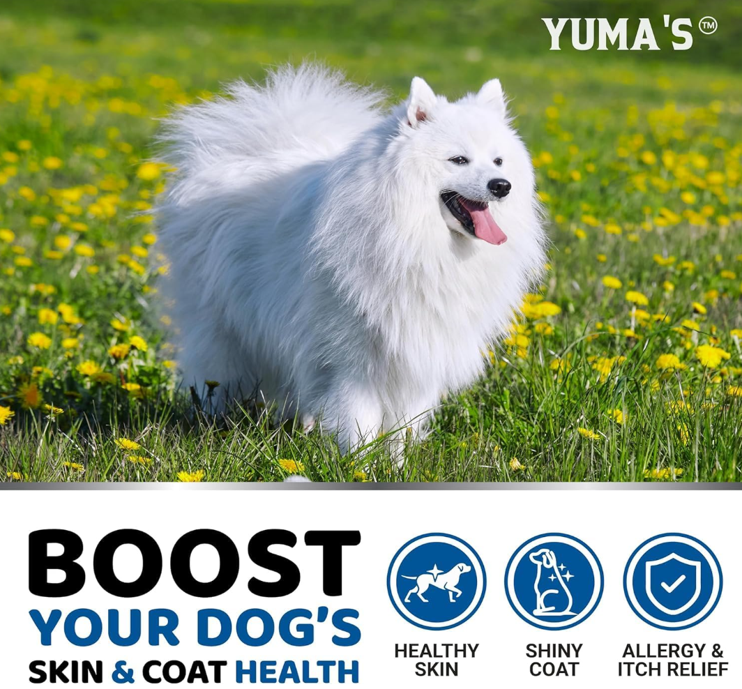 Paws, Shine, and Allergy Relief: How Omega-3 Chews Turn Your Dog’s Daily Treat into a Skin & Coat Wellness Capsule