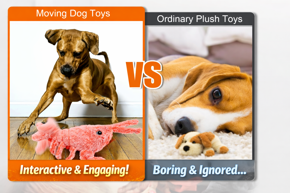 The Winter Boredom Fix: A Motion-Activated Toy That Keeps Dogs Busy Without Extra Screen Time