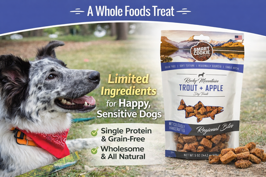 Why Soft, Limited-Ingredient Fish Treats Are Winning Over Sensitive Dogs (And Their Humans)