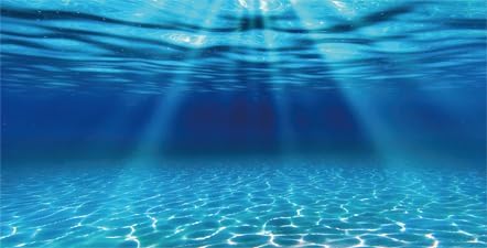 Natural Undersea Aquarium Background, Underwater Ocean Sunlight Fish Tank Background 36X24IN with 8 EVA Double-Sided Tape