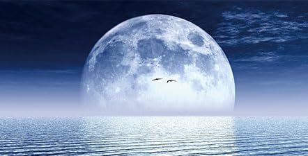 Moon Aquarium Background,Cool Sea Galaxy Parallel Space Themed Fish Tank Background, Cool Terrarium Background 30X12IN with 8 EVA Double-Sided Tape