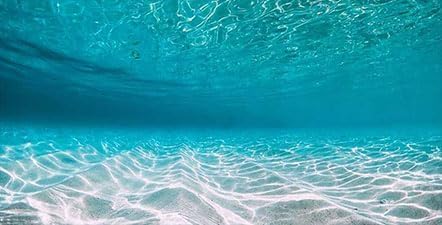 48X20IN Natural Undersea Aquarium Background, Undersea Beach Fish Tank Background, with 8 EVA Double-Sided Tape