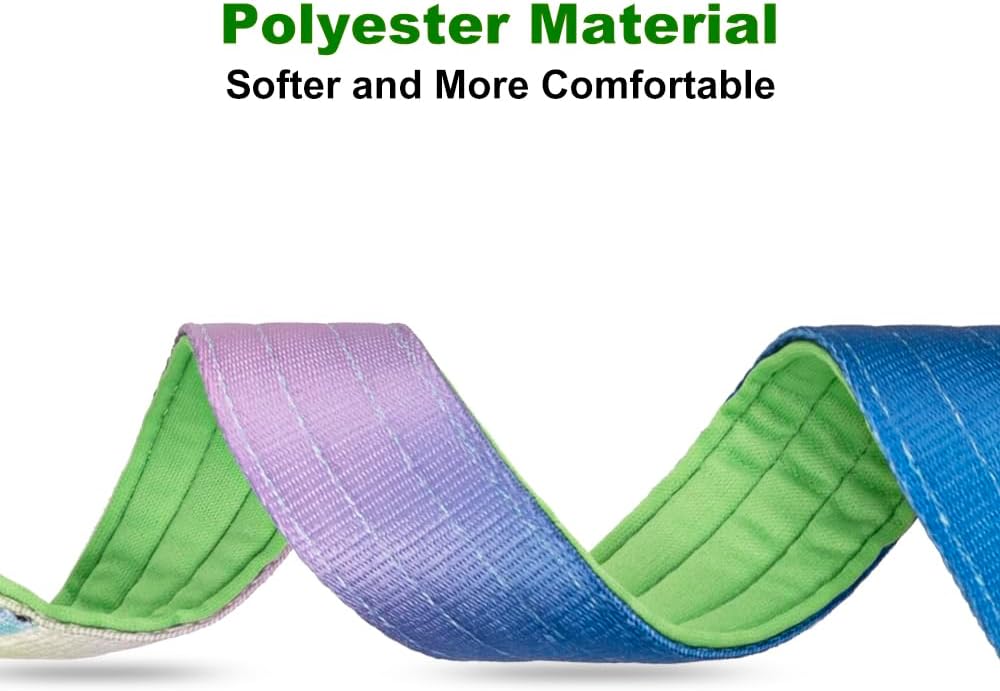 TSPRO Premium Dog Collars Tactical Dog Collar with Handle and Heavy Duty Quick-Release Metal Buckle Durable Thick and Adjustable for Medium to Large Dogs (Vitality Gradient M)