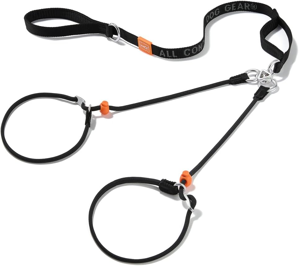 Howgo Double Slip Leash Slip Lead with Two Handles| Dual Dog Slip Lead for 2 Dogs,360° Swivel No Tangle | Dog Training Collar | Double Clip Leash Coupler and Splitter (Black, 6FT)