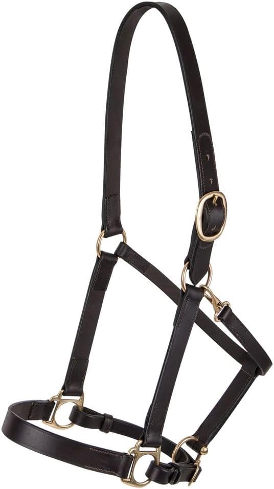 Dura-Tech Premier Lancaster Leather Halter for Horses | Simple Economy Leather Halter with Adjustable Fit & Solid Brass Hardware