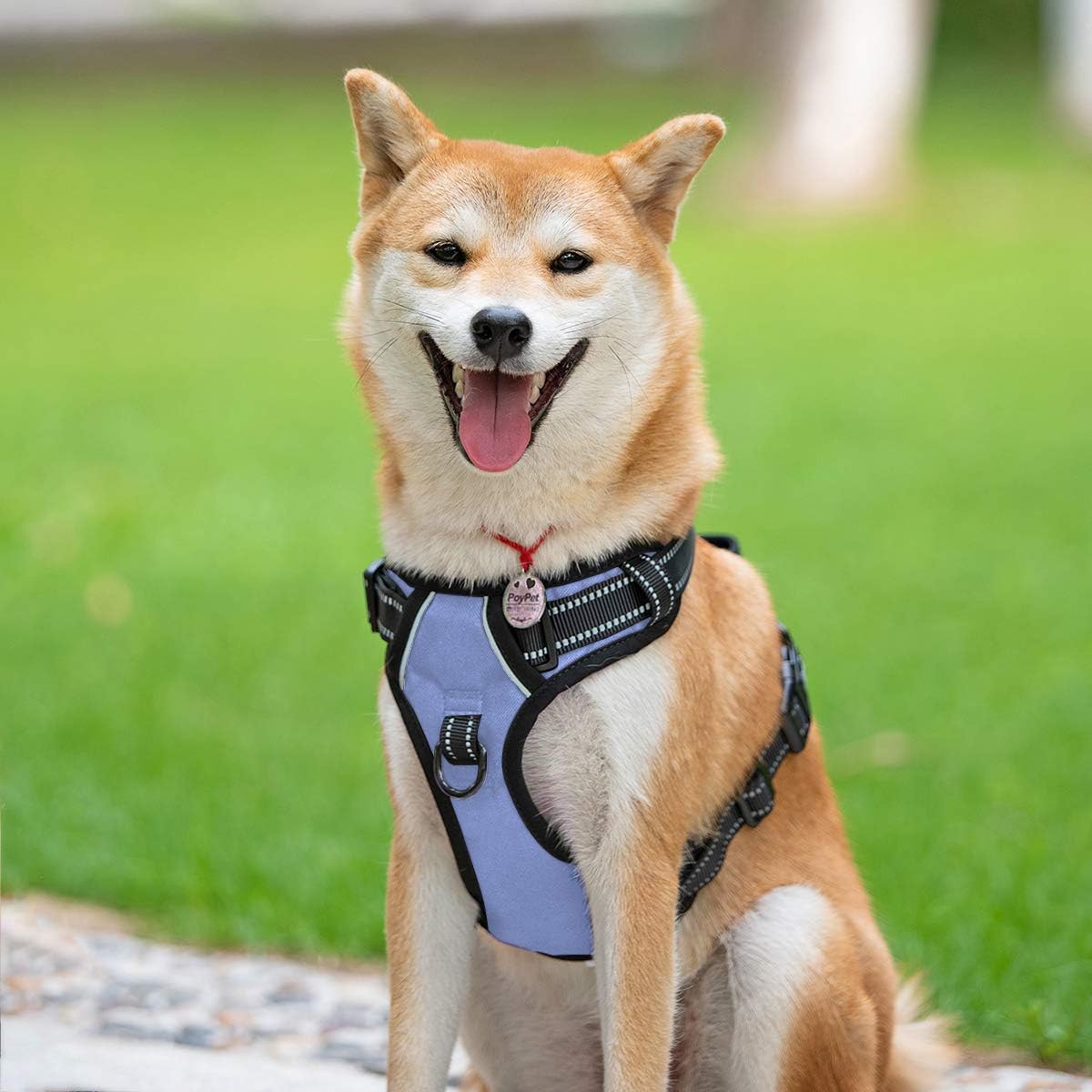 PoyPet No Pull Dog Harness, Reflective Comfortable Vest Harness with Front & Back 2 Leash Attachments and Easy Control Handle Adjustable Soft Padded Pet Vest for Small to Large Dogs (Light Blue,XL)