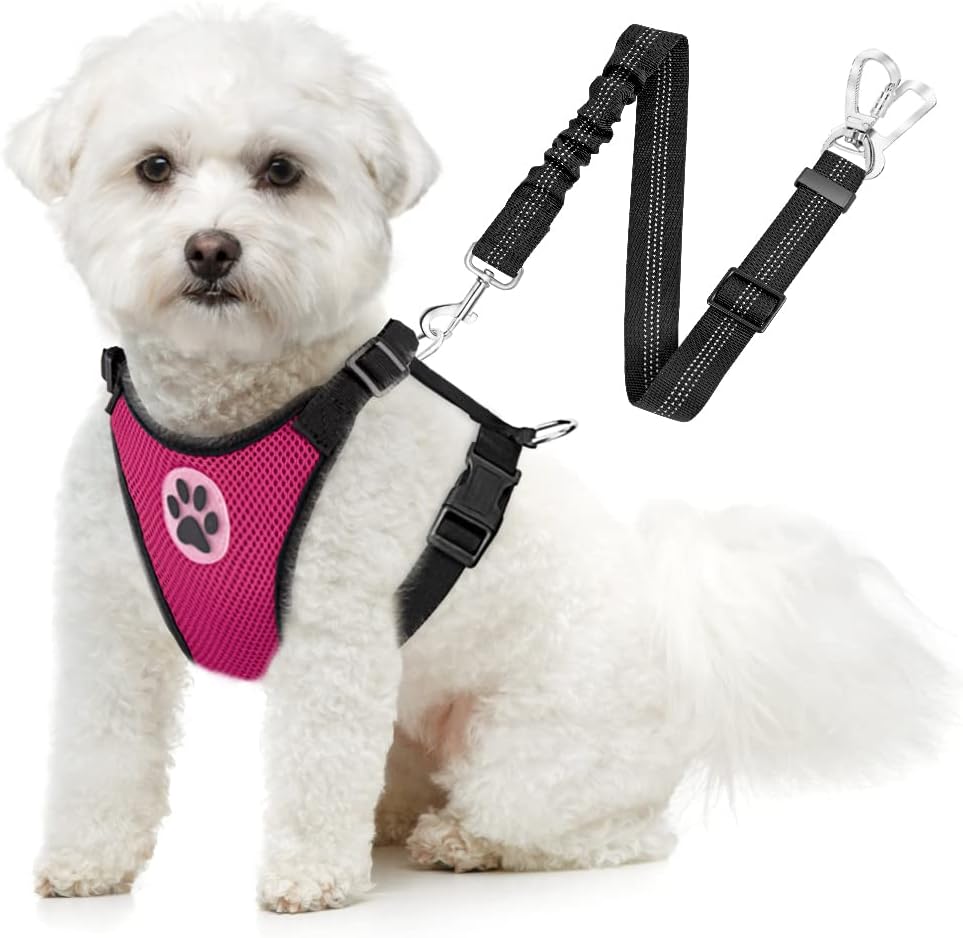 SlowTon Dog Seat Belt Harness for Car, Dog Car Harness Adjustable Mesh Breathable & Dog Seatbelt Safety Tether with Elastic Bungee for Small Medium Large Pets(Fuchsia, Double Clip, XS)