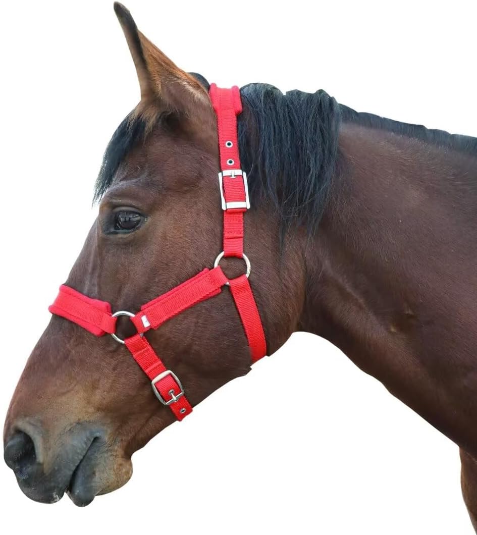 Horse Halter with Wool Lining, Adjustable Halter for Horses Satin Hardware to Prevent Friction, Breakaway Halters for Horses,Perfect for Traction and Performance