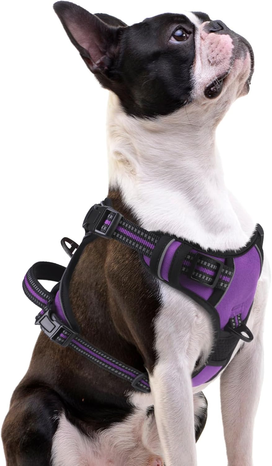 PUPTECK No Pull Dog Harness Small Sized, Adjustable Reflective Dog Harness with Handle Easy Control, Comfortable Soft Padded Pet Vest Harness for Small Dogs, Solid Purple S